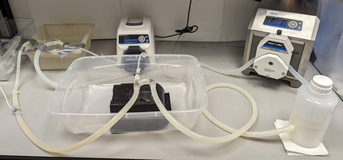 Research Photo 2